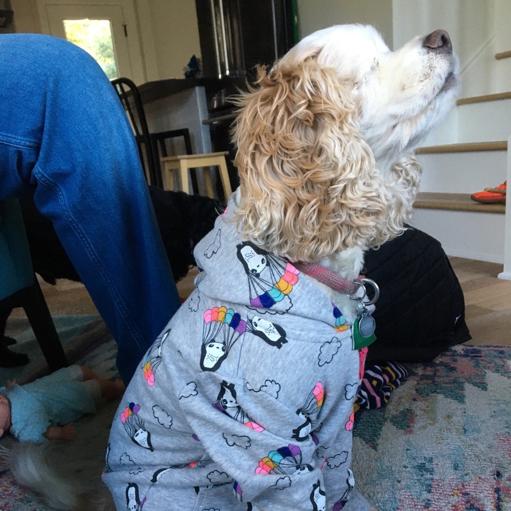 Meet your Posher, Lauren